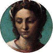 Sebastiano del Piombo Head of a Woman